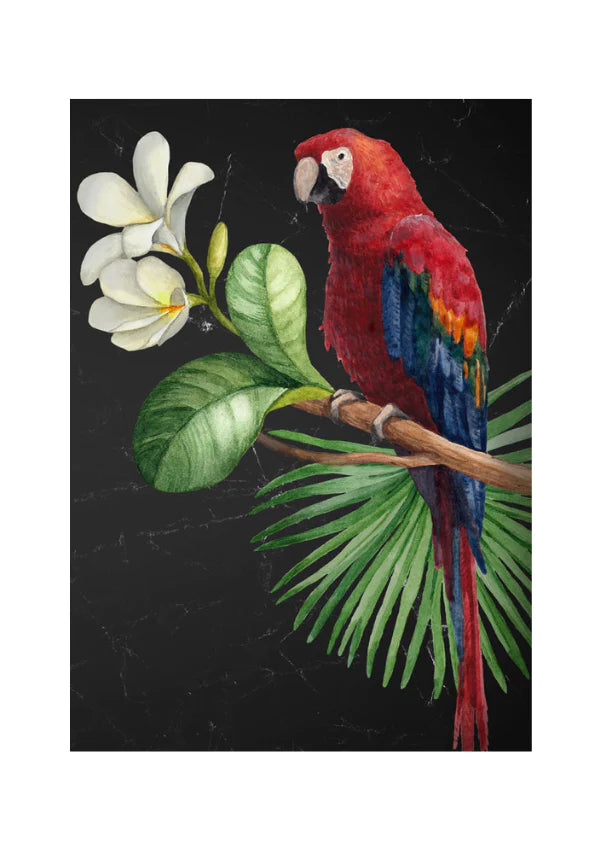 Parrot - Decoupage Paper