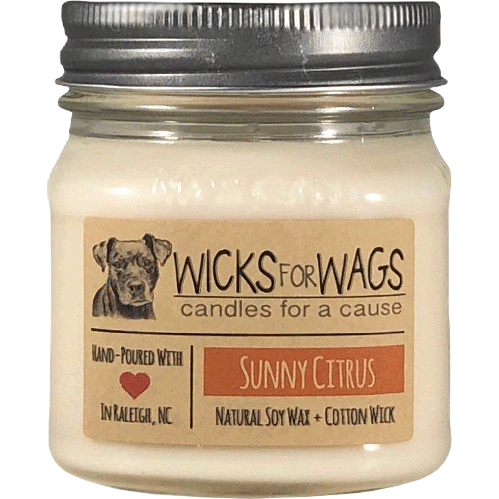 Sunny Citrus Scented Soy Candle