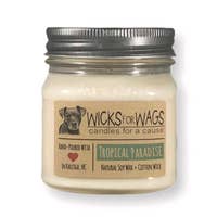 Tropical Paradise Scented Soy Candle